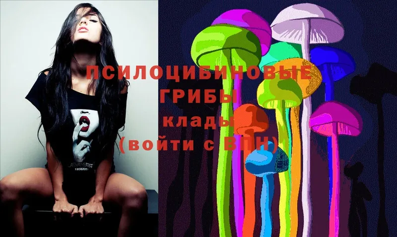 omg ссылка  Цоци-Юрт  Галлюциногенные грибы Psilocybe  наркота 